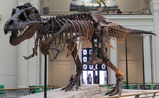 1990 Sue The T Rex The Cold War Ending And Students Views On Military Spending Heri